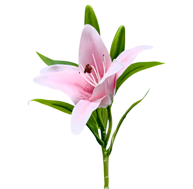 Floral M 花藝 法式花仙女Lily香水百合氣質粉仿真花花材, 粉色, 1支