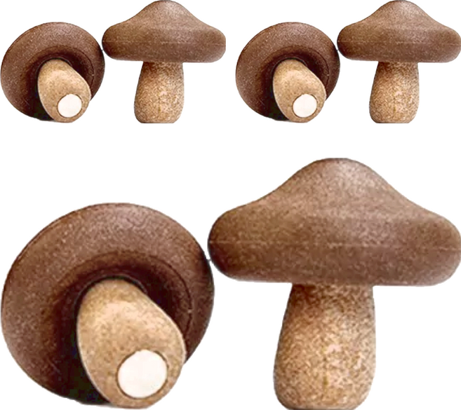 QUALy Shiitake Magnet 磁鐵 6個, 森林菇菇 咖色