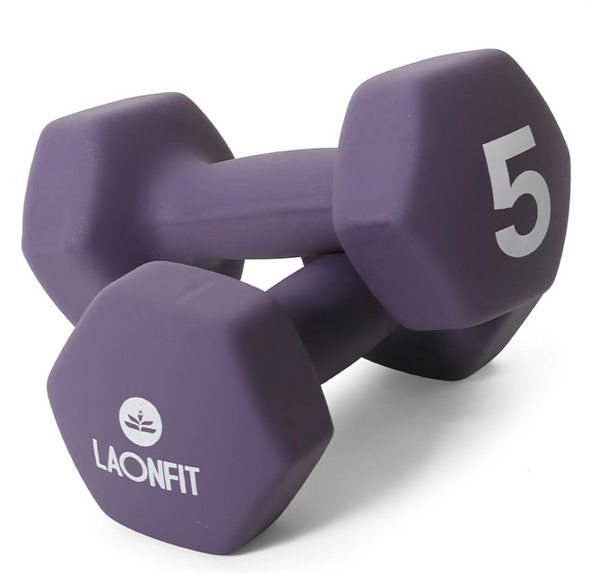 Laonfit 深紫色啞鈴 5公斤 2入組, 5kg, 2個