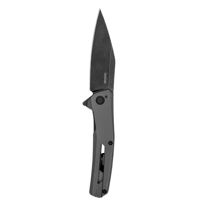 Kershaw 折刀 FLYBY D2 鋼刀刃 不銹鋼灰色PVD塗層刀柄, 刃灰色, 1支