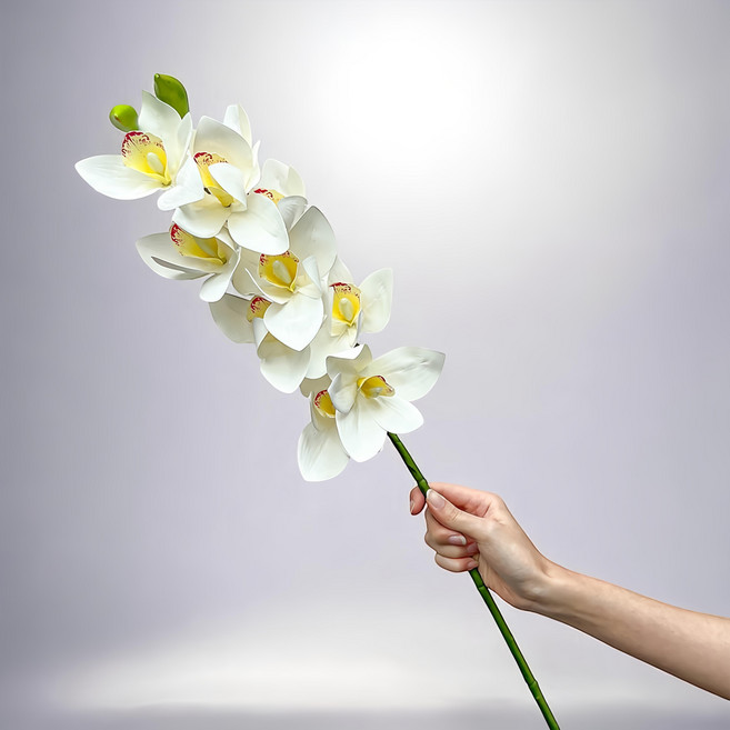 Floral M 花藝 仿真花 居家輕奢高級蝴蝶蘭質感白花材, 1個, 白色