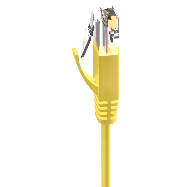 POLYWELL 寶利威爾 CAT6扁線高速網路線 RJ45 福祿克認證 PW15-W59-A310, 20m, 黃色, 1條