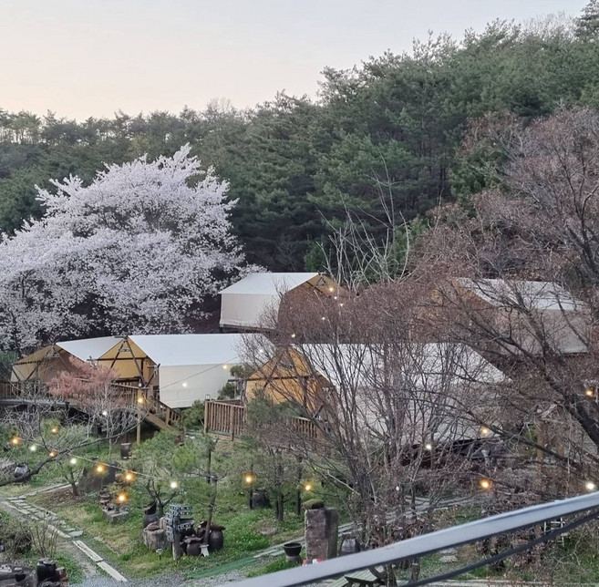 [제천시] 청풍월드니스글램핑