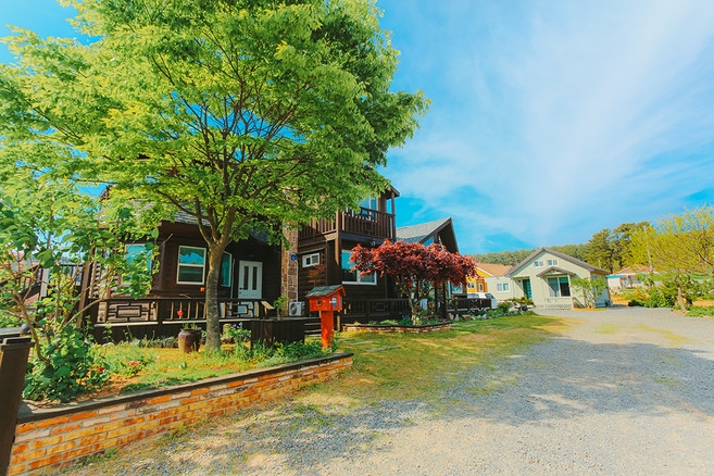 [태안군] 만리포들꽃펜션