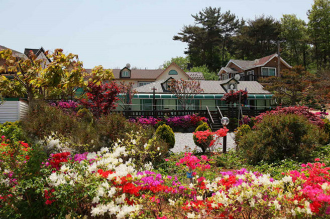 [태안군] 안면도 아일랜드펜션