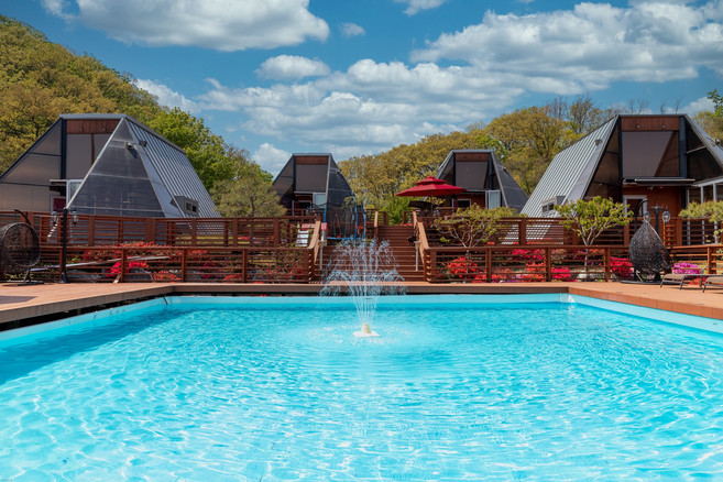 [용인시 처인구] 세모난나무