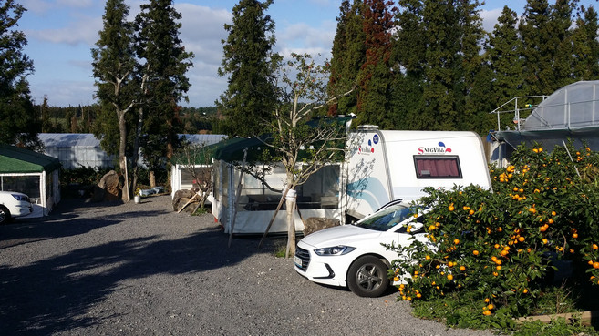 [서귀포시] 팜핑제주카라반