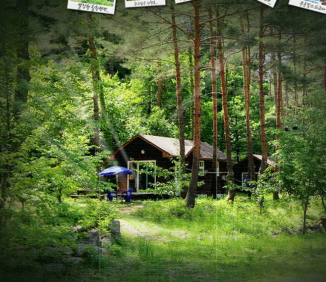 [양양군] 양양 숲속의집