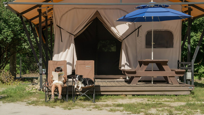 [가평군] |와우회원10%할인| 가평 산책 애견동반 글램핑 펜션