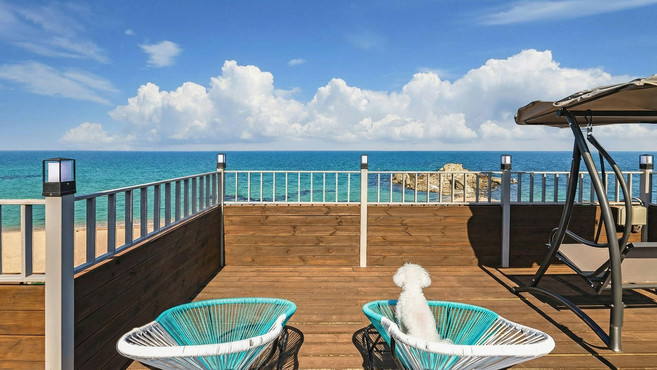 [강릉시] |와우회원10%할인| 강릉 바다의별 애견동반 펜션