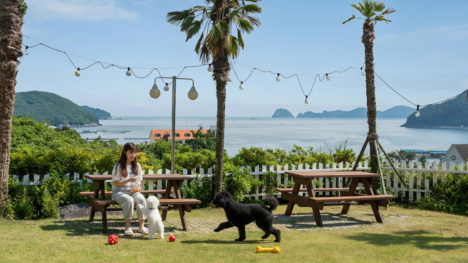 [거제시] |와우회원10%할인| 거제도 좋은데 애견동반 펜션