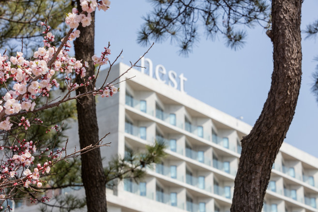 [인천광역시] 네스트 호텔