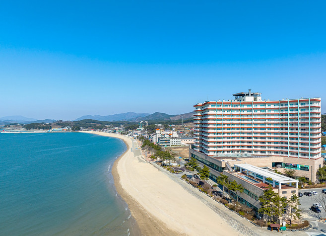 [보령시] 비체팰리스