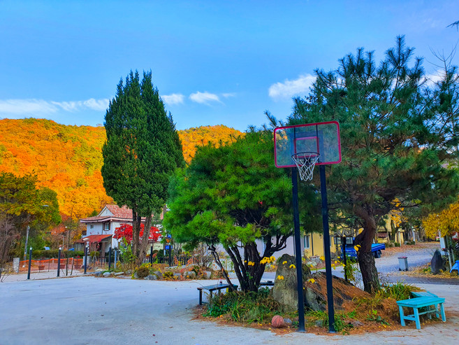 [무주군] 무주 여행숲 백암산장펜션