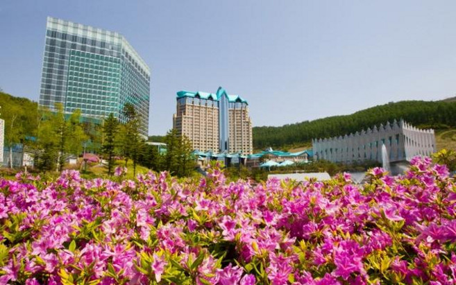 [정선군] 하이원 그랜드 호텔 컨벤션타워