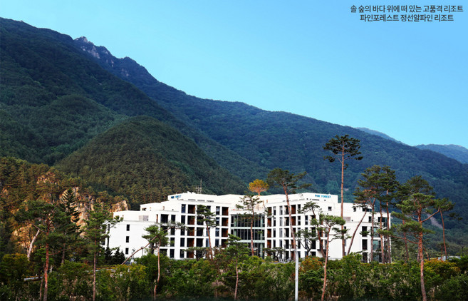 [정선군] 파인포레스트 정선 알파인리조트
