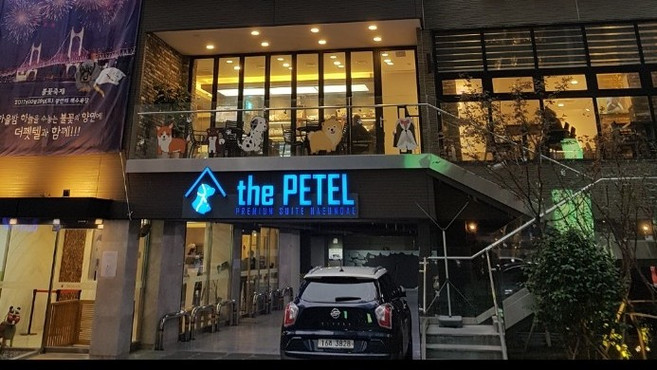[부산광역시] 더펫텔 프리미엄 스위트