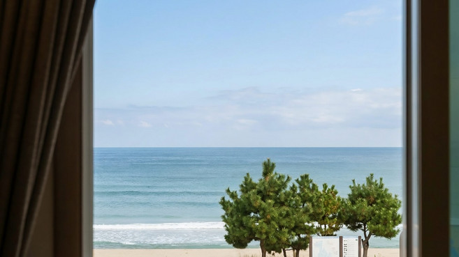 [양양군] 양양 해뜨는창문 애견동반 오션뷰 펜션