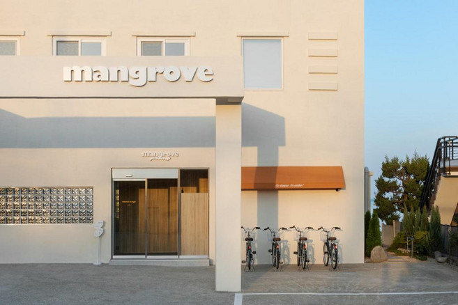 [속초] 맹그로브 고성