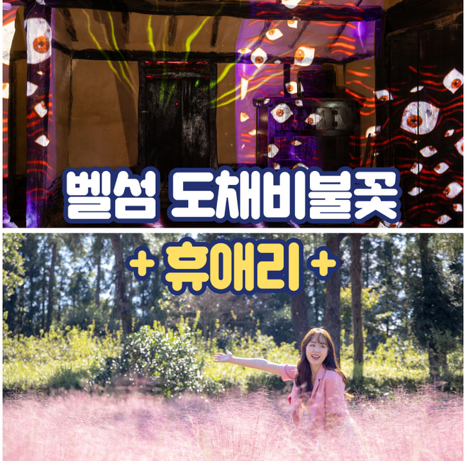 [제주] 벨섬 도채비불꽃+카멜리아힐