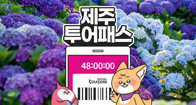 3위 - [제주] 제주투어패스 골드박스 특가