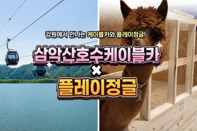 [강원] 삼악산케이블카X플레이정글 춘천엔타점 PKG