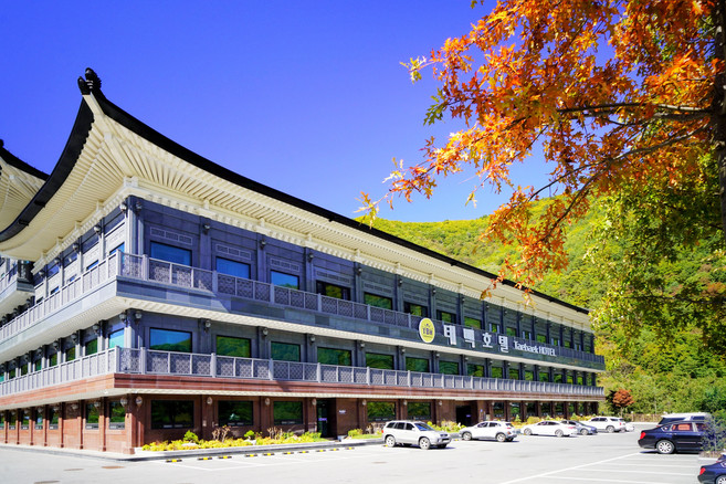 [태백] ★태백호텔 / 워터풀&사우나 보유(유료)