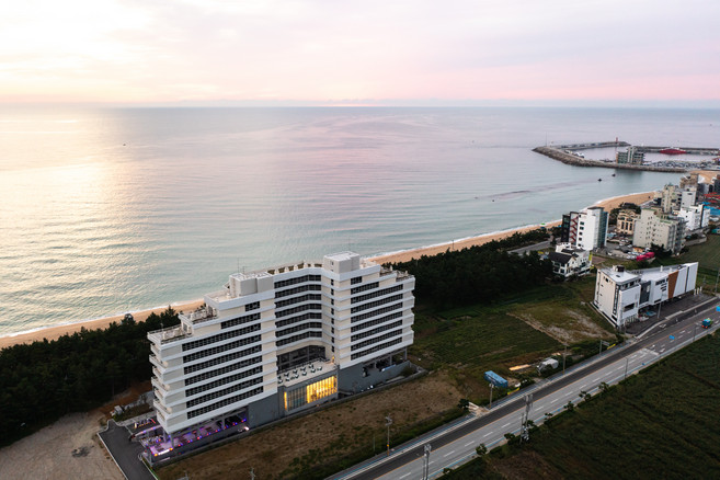[강릉] ★최대할인★ 파인아트라벨 호텔 (안목해변/카페거리 도보 5분)