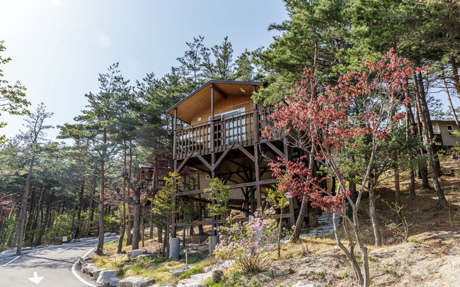 [강원고성] ★후기필독!★주성리조트