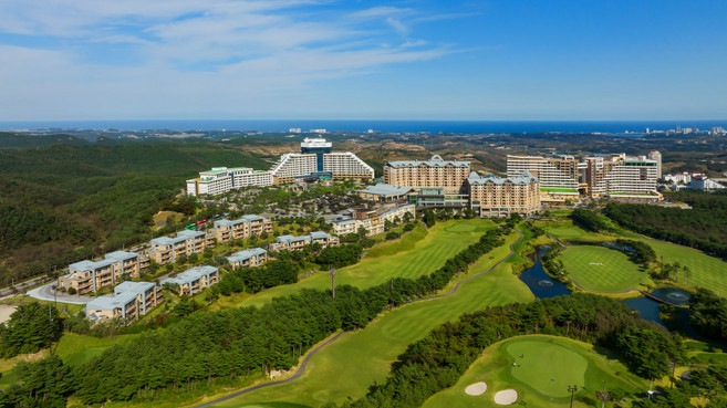 [고성] [본사직영]델피노 (소노캄/소노벨EAST/소노벨WEST)