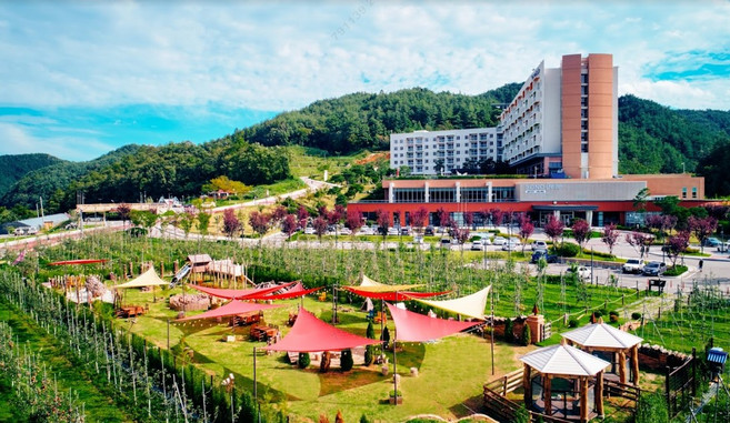 [청송] [본사직영]소노벨 청송