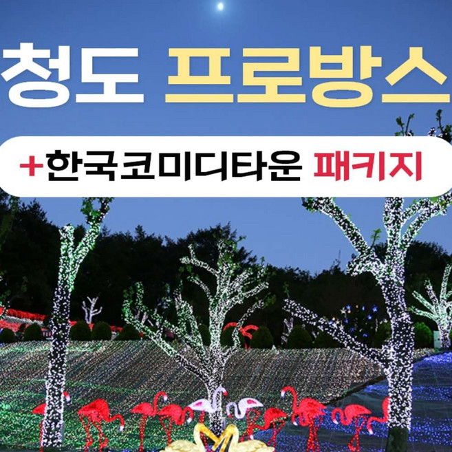 [청도] 경북e누리 청도한국코미디타운+프로방스포토랜드
