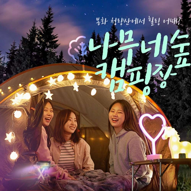 [봉화] 경북e누리 봉화 나무네숲 캠핑+국립백두대간수목원