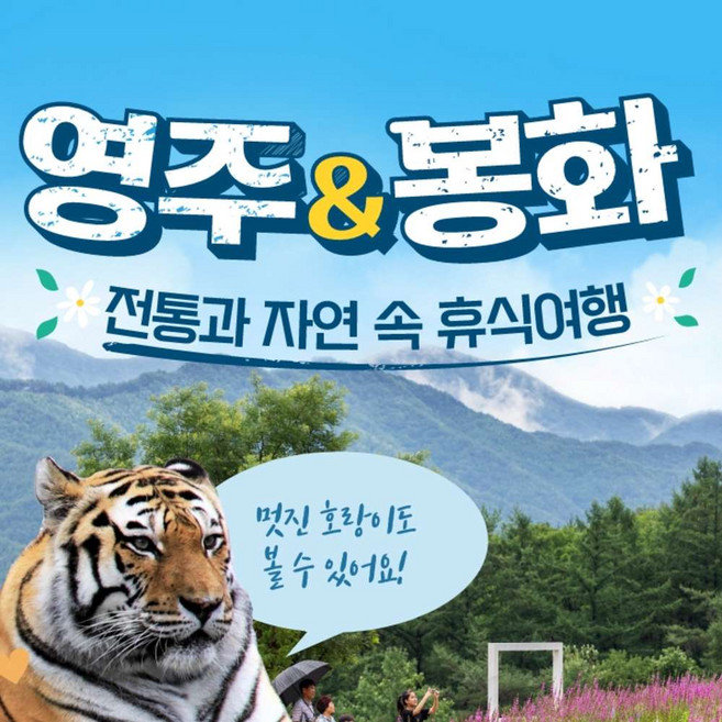 [연합] 경북e누리 영주 소수서원+봉화 국립백두대간수목원