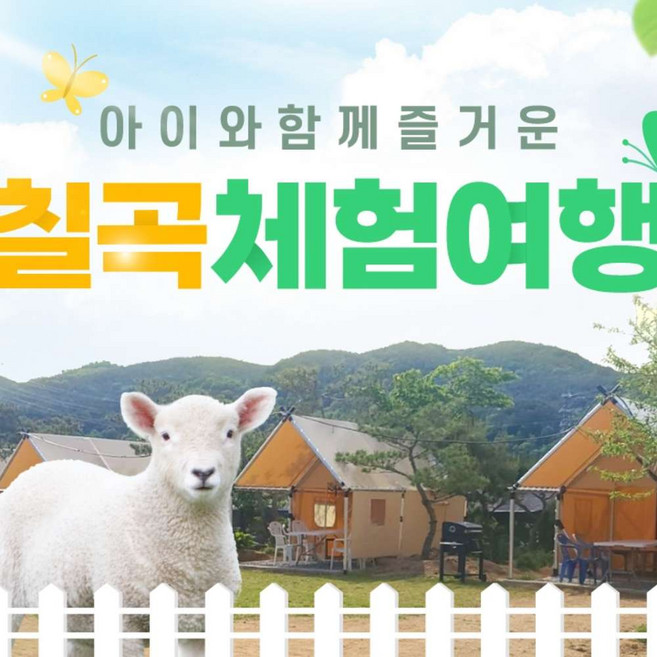 [칠곡] 경북e누리 칠곡 덕산수목원+양떼목장