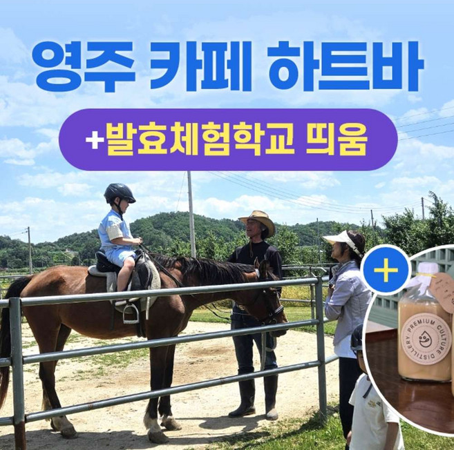[영주] 경북e누리 영주 하트바+발효체험학교 띄움