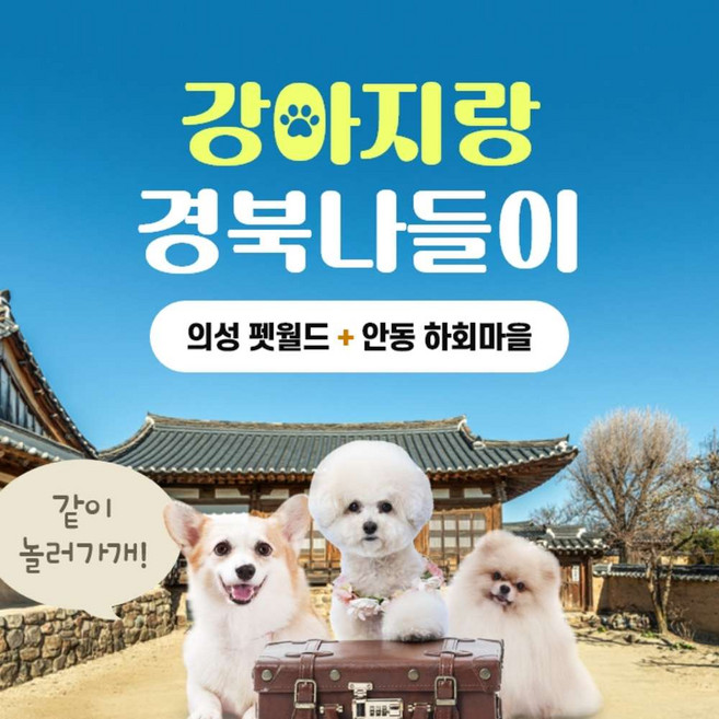 [연합] 경북e누리 의성 펫월드+안동 하회마을