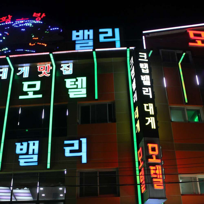 [영덕군] 영덕 강구항 밸리