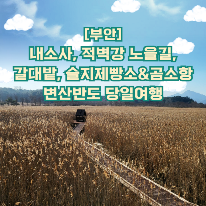 [부안] ★25出★[지원특가]부안 변산반도 당일여행(내소사, 적벽강노을길,슬지제빵소)