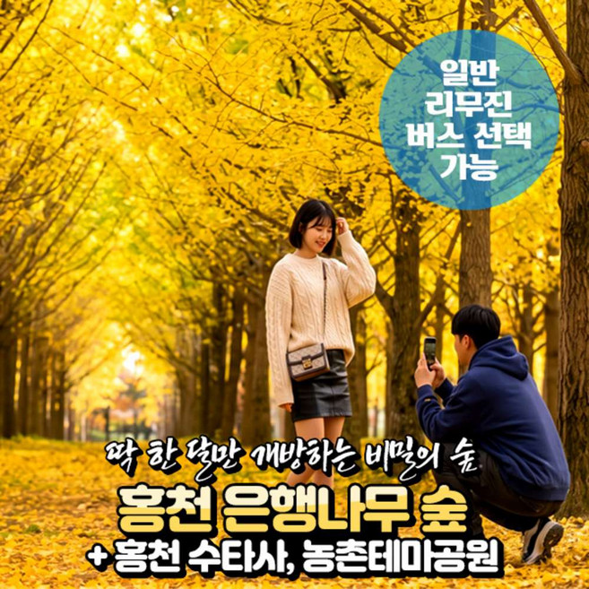 4위 - [강원] 홍천 은행나무숲+수타사/농촌테마공원 가을단풍 당일여행 (일반/리무진 선택)/서울경기出