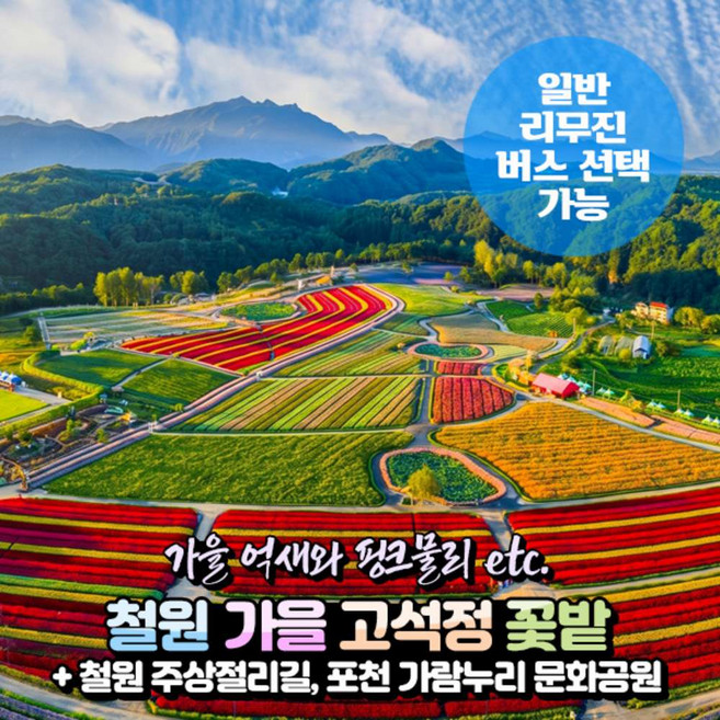 8위 - [강원] 철원 고석정꽃밭(가을x노을)+주상절리길+포천 비둘기낭폭포 당일여행(일반/리무진)/서울경기出
