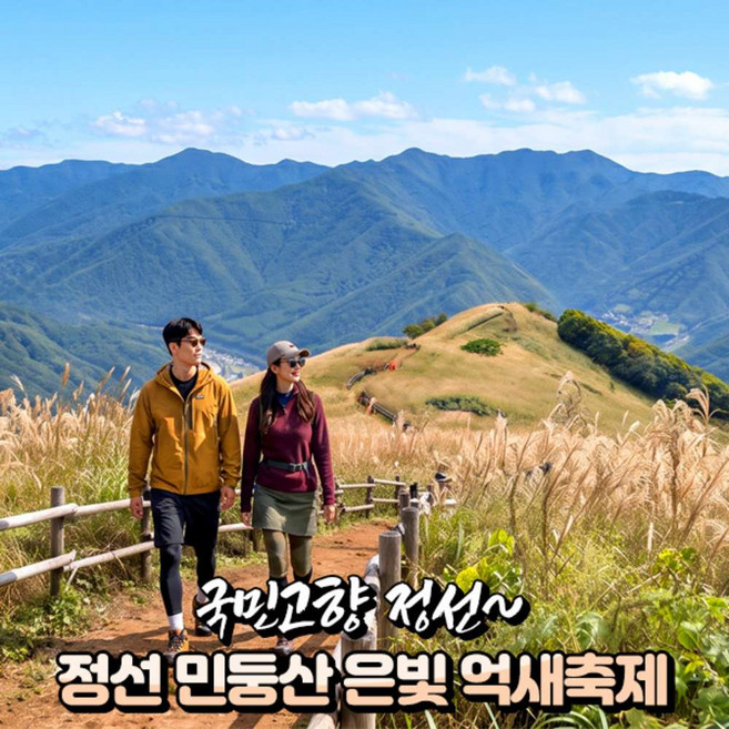 5위 - [강원] 정선 민둥산 억새꽃 축제(민둥산은빛억새축제) 트레킹 당일여행 /가을단풍/국내여행/서울경기出