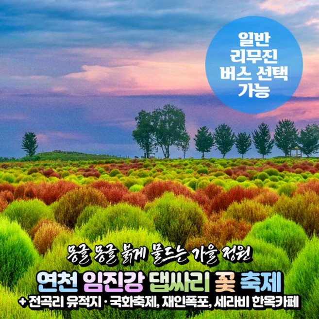 3위 - [경기] 연천 댑싸리정원+재인폭포+전곡리 유적지/국화축제+한옥카페 당일여행(일반/리무진)/서울경기出