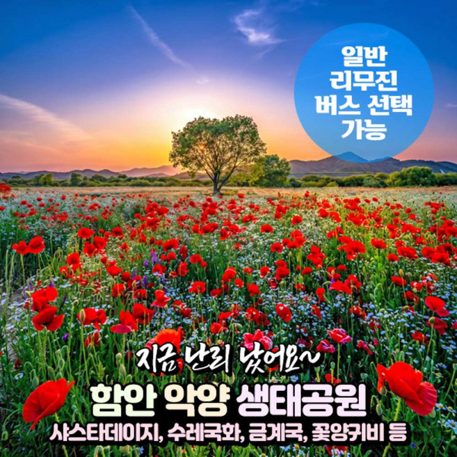 [경남] 함안 악양생태공원(봄꽃)+무진정+입곡군립공원 당일여행 (일반/리무진 선택) / 서울경기出