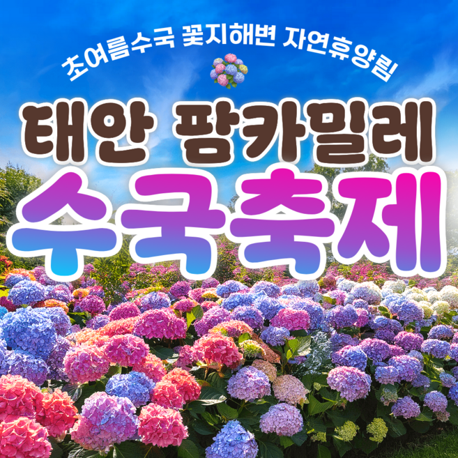 8위 - [충남] ●출발확정●2026 태안 팜카밀레 수국축제 안면도 자연휴양림 꽃지해변 당일 기차여행 패키지