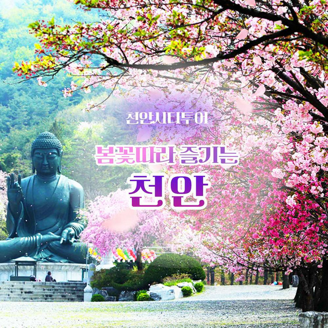[충청] (특가)천안 각원사 겹벚꽃(왕벚꽃)+독립기념관+아산 현충사 당일_천안시티투어 당일 여행