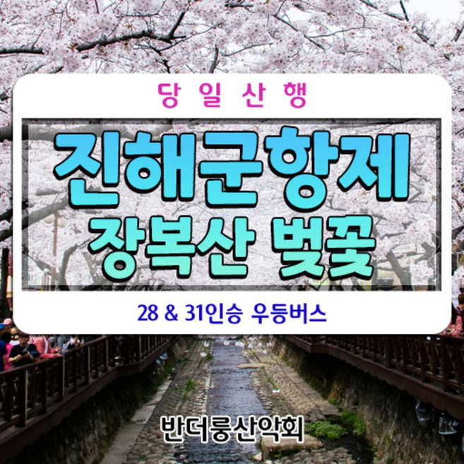 [경남 창원] 진해군항제 장복산벚꽃 28인승 리무진버스