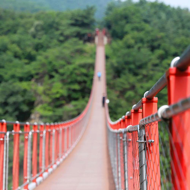 7위 - [파주DMZ+감악] DMZ 파주+감악산 출렁다리 당일투어 (영어가이드 투어)