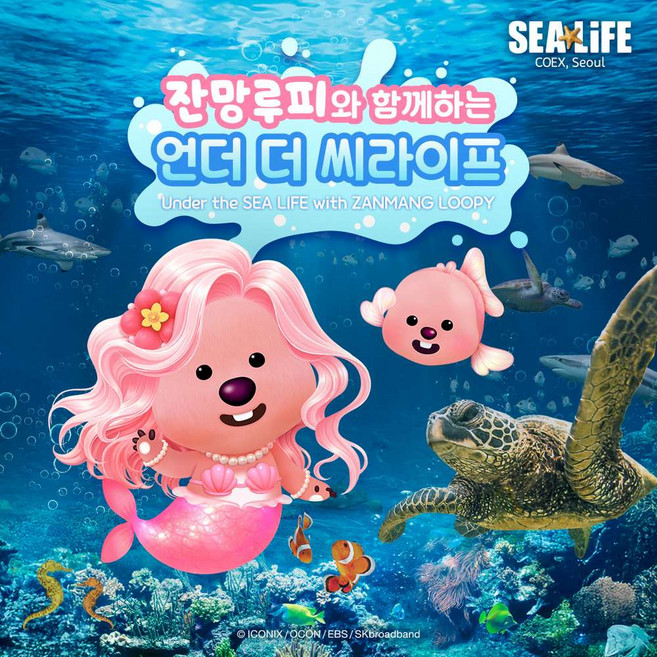 국내호캉스추천 완벽 가이드 — 선택 방법부터 주의사항까지