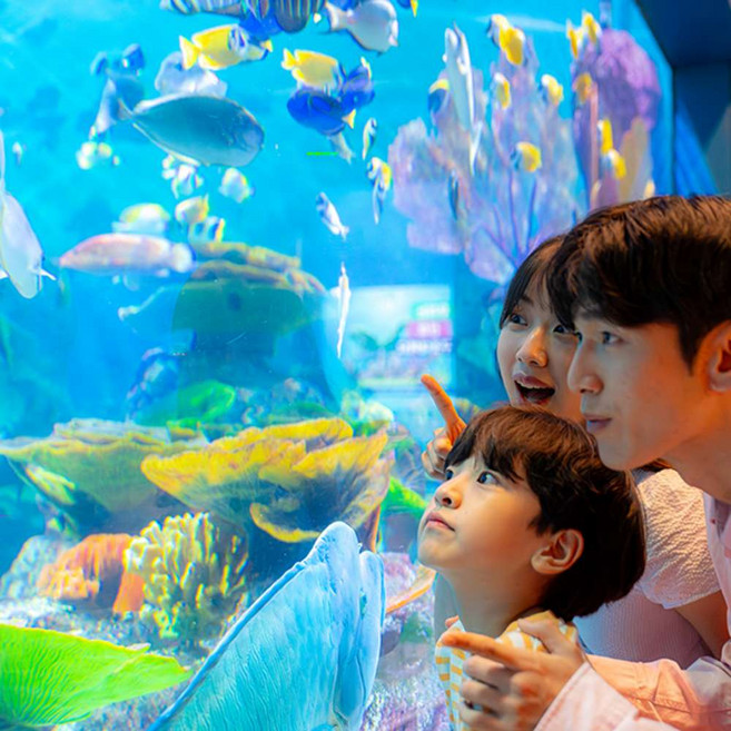 [서울/삼성] ★3/11 골드박스★씨라이프 코엑스아쿠아리움 1인 입장권 (유효기간 ~26.04.14)